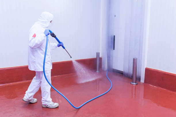 Best Boat and Dock Cleaning  in Lawson, MO